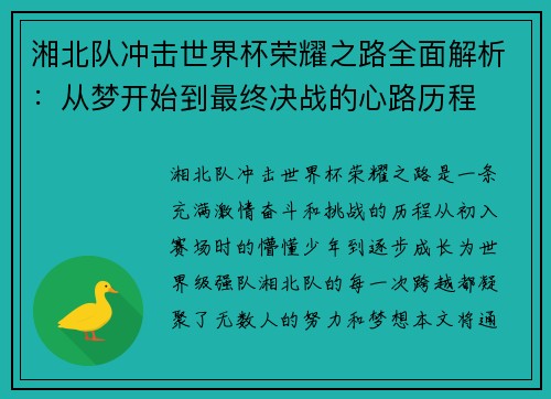 湘北队冲击世界杯荣耀之路全面解析：从梦开始到最终决战的心路历程